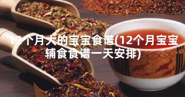 12个月大的宝宝食谱(12个月宝宝辅食食谱一天安排)