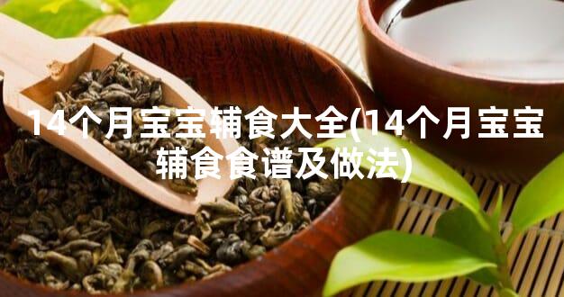 14个月宝宝辅食大全(14个月宝宝辅食食谱及做法)