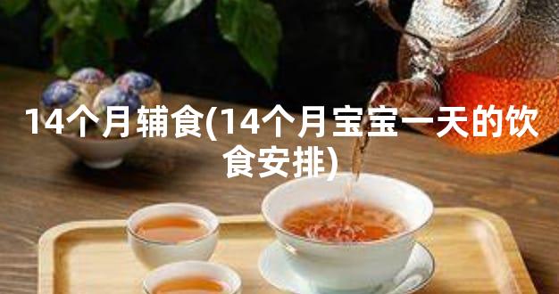 14个月辅食(14个月宝宝一天的饮食安排)