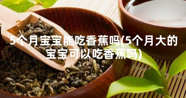 5个月宝宝能吃香蕉吗(5个月大的宝宝可以吃香蕉吗)