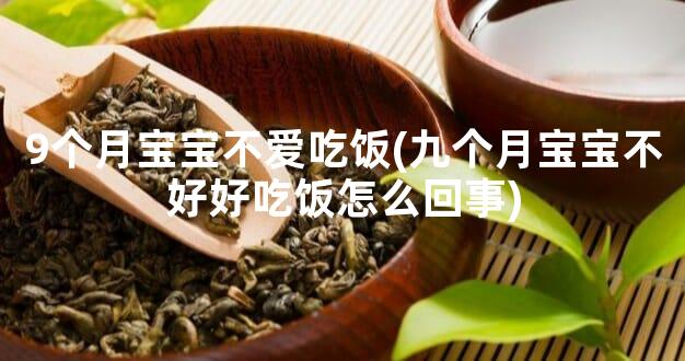 9个月宝宝不爱吃饭(九个月宝宝不好好吃饭怎么回事)