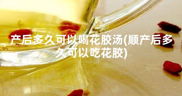 产后多久可以喝花胶汤(顺产后多久可以吃花胶)