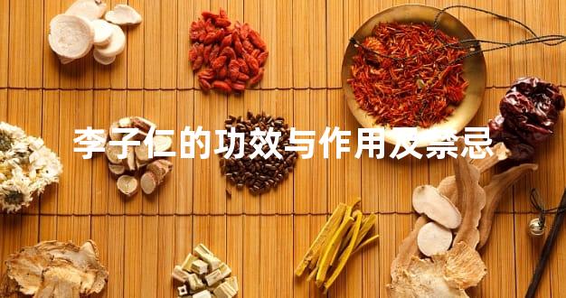 李子仁的功效与作用及禁忌