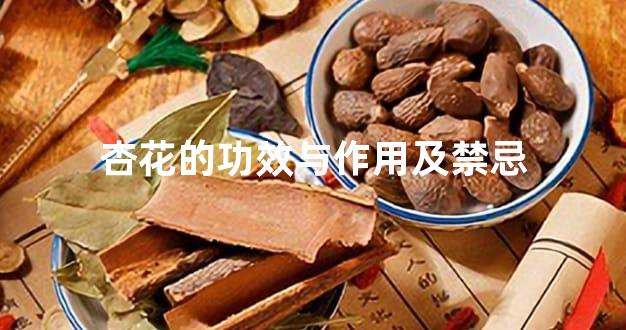 杏花的功效与作用及禁忌