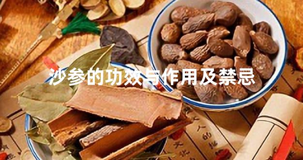 沙参的功效与作用及禁忌