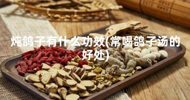 炖鸽子有什么功效(常喝鸽子汤的好处)