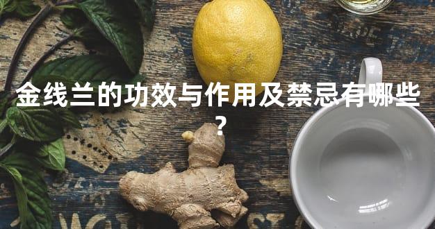 金线兰的功效与作用及禁忌有哪些？