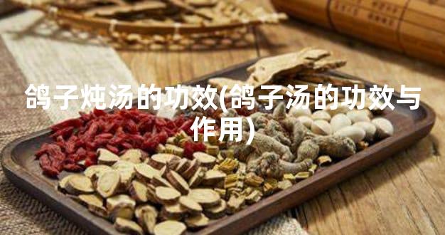 鸽子炖汤的功效(鸽子汤的功效与作用)