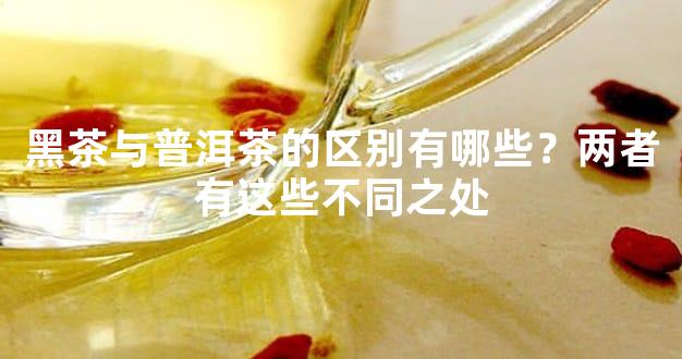 黑茶与普洱茶的区别有哪些？两者有这些不同之处