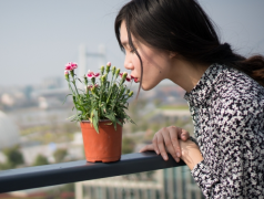 婆媳怀孕,如何和婆婆处好关系